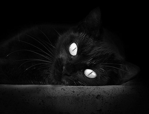 【场地优势】不同球场对比赛结果的影响详解,每个球场大小不同