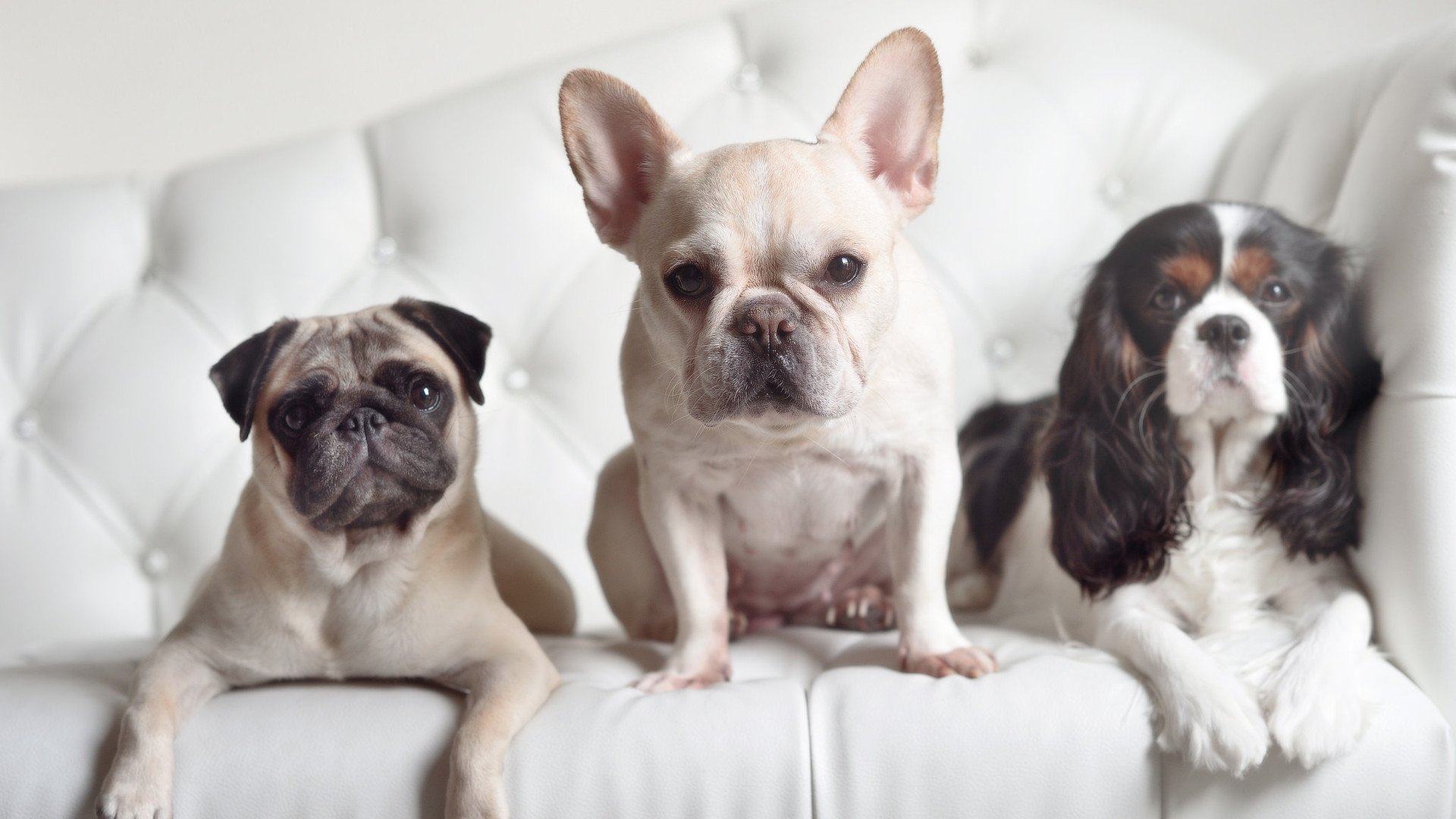 以“篮球文化+旅游”新模式打造体育旅游产业链,篮球文化之旅